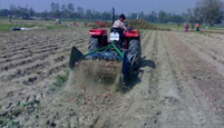 New Technique for sowing of Potato Find out by Ram Sharan Verma